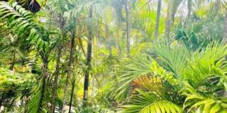 Spacious 2BR/2BA Condo with Garden View – Steps from the Ocean Gallery 17