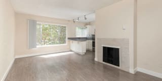 Playa Pacifica Gallery 11