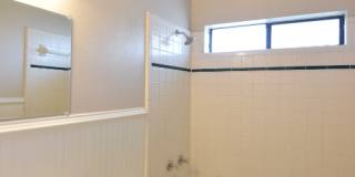 3817 Sawtooth Dr Gallery 14