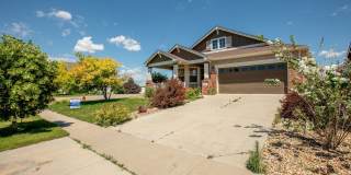 5 Bedroom Home in Windsor Colorado Gallery 6