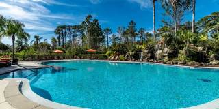 Paradise Island Gallery 35