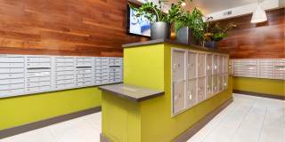 LINQ LINQ Gallery 34