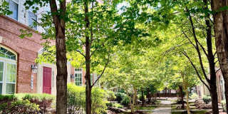5605 HARRINGTON FALLS Lane Gallery 81