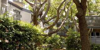 Shadowbrook Apartments Gallery 29