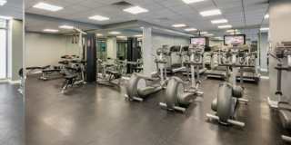 257 Gold Street Gallery 5