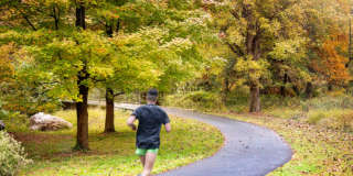 The Magnolia Gallery 46