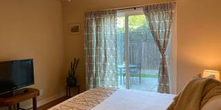 Available May 1st!  Bright Charmer in downtown Chico Gallery 15