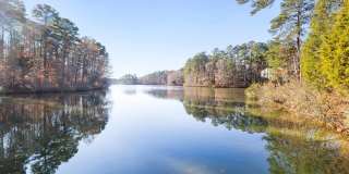View at Lake Lynn Gallery 48
