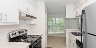 Canopy at Baybrook Canopy at Baybrook Gallery 2