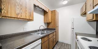 Desert Springs Gallery 15