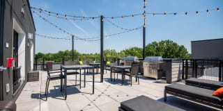 The Grove Gallery 51