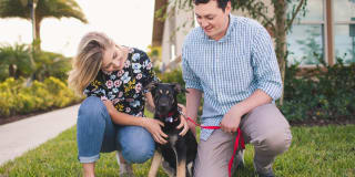 Springs at Palma Sola Gallery 4