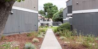 Prospera Square Gallery 25