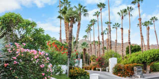 49340 Sunrose Ln Gallery 31
