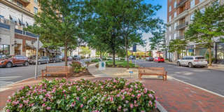 1915 TOWNE CENTRE Boulevard Gallery 22