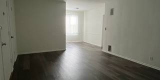 h1252 Gallery 2