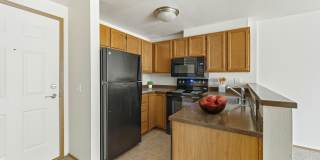 Ashford Apartments Gallery 6