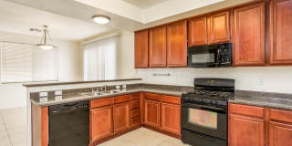 1236 La Ballena Trail Gallery 12