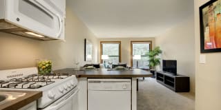 Ridgewood Arches Gallery 2