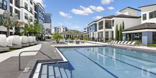 The Pointe on Westshore Gallery 17
