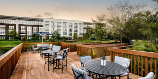 Arcadia Dr. Phillips Arcadia Dr. Phillips Gallery 23