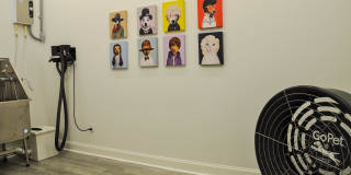 Aqua on 25th Gallery 52