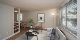 805 Dahlia Gallery 22