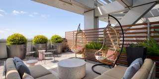 Berkeley Central Gallery 7