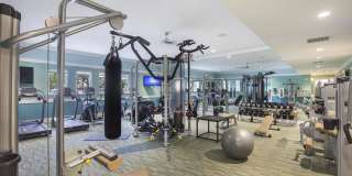 Metropolitan Gallery 4