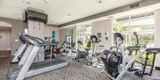 The Village at Town Center Gallery 17