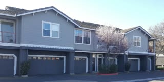 Seville at Mace Ranch Gallery 14