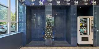 Alta 801 Gallery 39