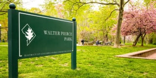 The Silva Gallery 33