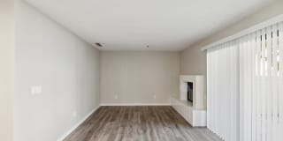 Renew on Summerfield Gallery 8