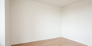 The Century Gallery 20