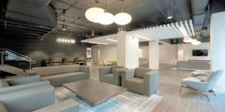 Chestnut Place Gallery 16