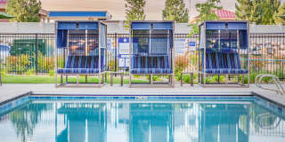 Incline at Anthem Age 55+ Apartment Homes Gallery 21