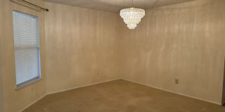 4622 Rock Nettle Gallery 4