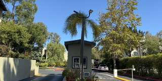 4806 Hollow Corner Road Gallery 1
