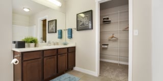 Olympus at The District Gallery 5