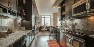 The Catherine Gallery 27