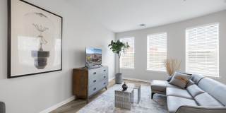 Harbor Pointe Gallery 7