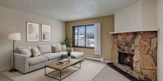 Conifer Grove Gallery 1