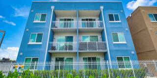 Pine Groves Gallery 36