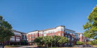 The Cosmopolitan at Lorton Station Gallery 55