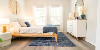 Palmera on 3009 Gallery 16