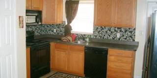 Available Fall 2026! 3 Bed/2 Bath House Right off of NW 34th St. Close to UF Gallery 5