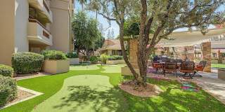 4200 N Miller Rd #408 - 2 Bedroom, 2 Bath Condo in the heart of Scottsdale! Gallery 22