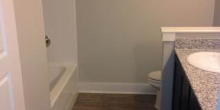 Wildwood 1 Gallery 15