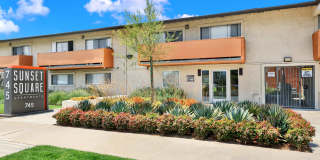 Sunset Square Gallery 3